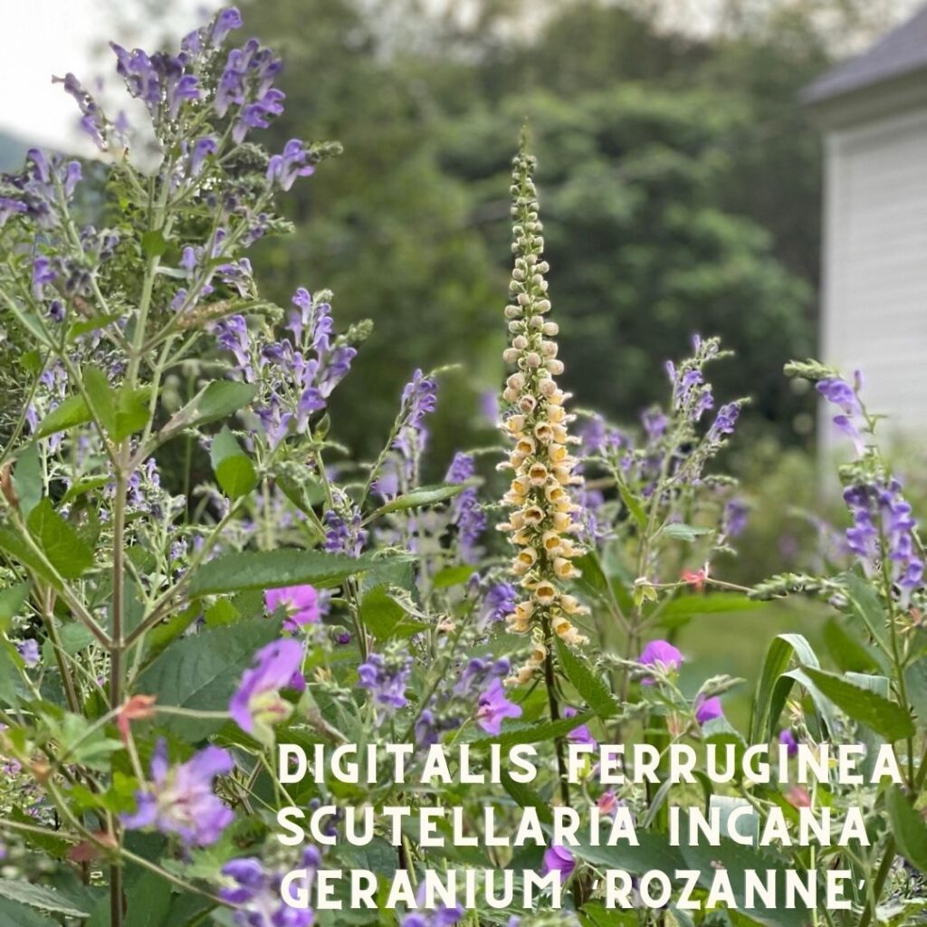 Instagram post from m_herndon_. This post is in position 5.