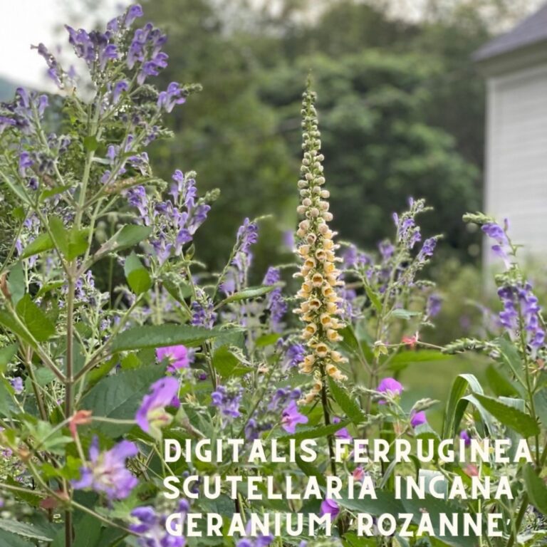 Instagram post from m_herndon_. This post is in position 6.