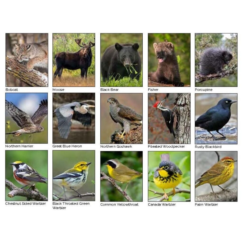 Instagram post from m_herndon_. This post is in position 7.