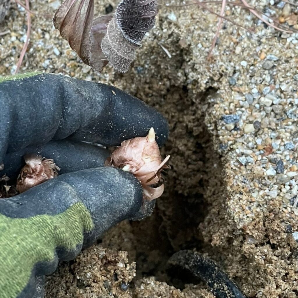 Instagram post from m_herndon_. This post is in position 4.