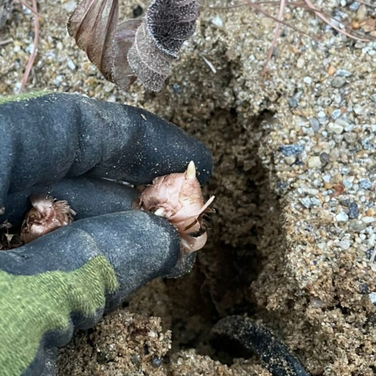 Instagram post from m_herndon_. This post is in position 5.