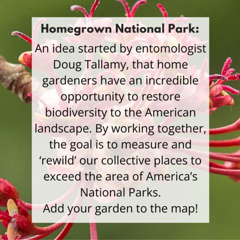 Instagram post from m_herndon_. This post is in position 3.