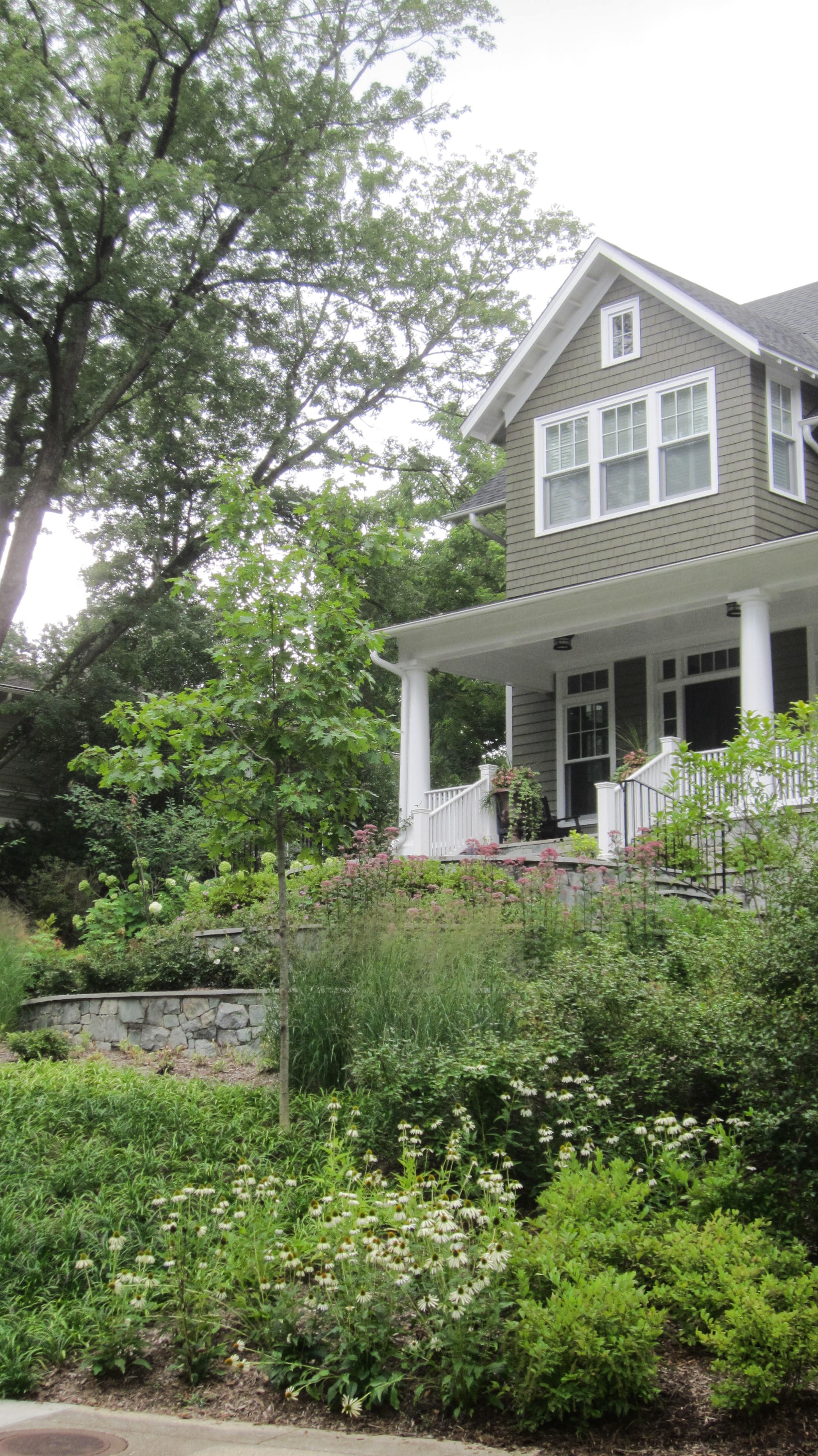 Pollinator garden for beekeepers, Arlington VA