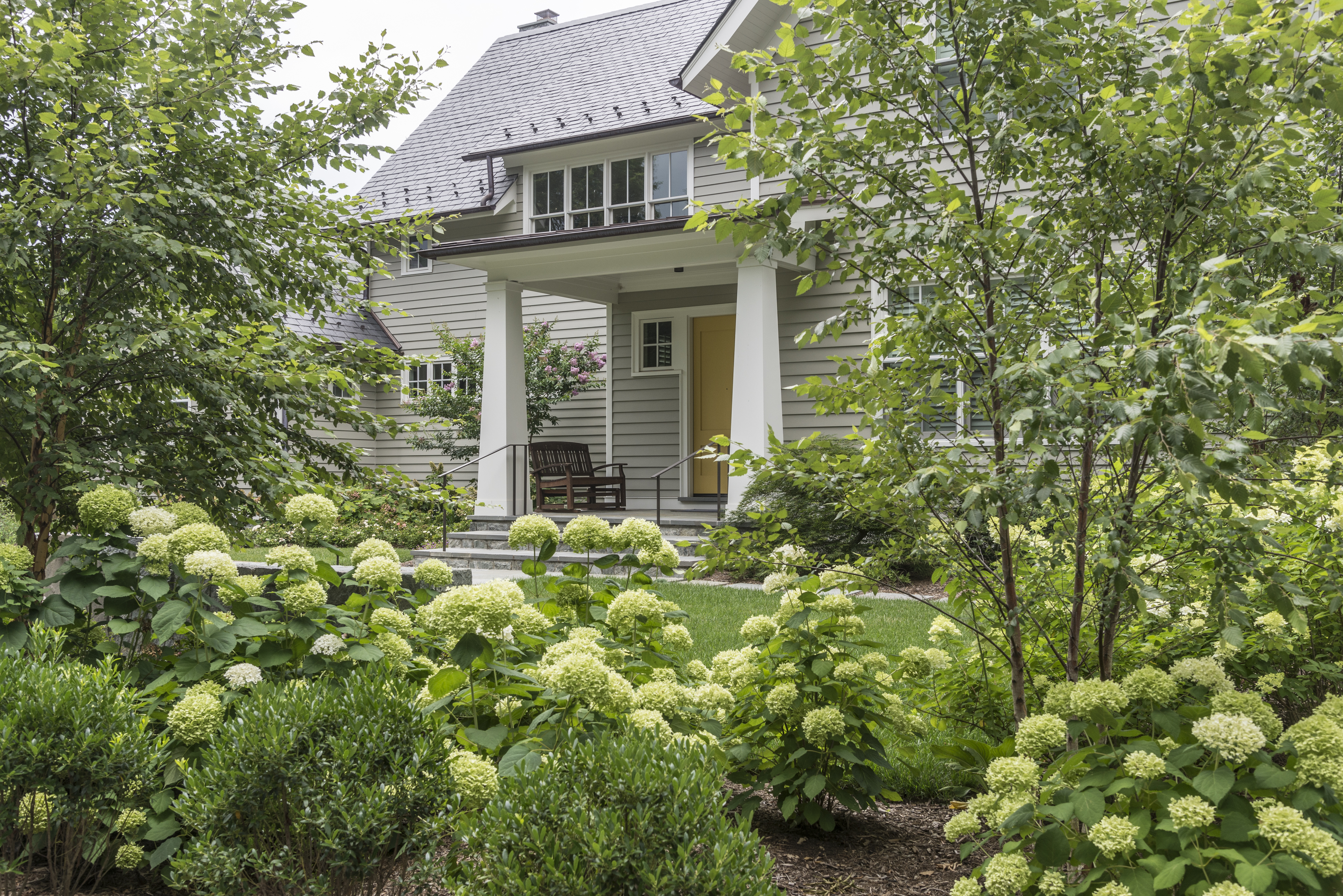 Naturalistic pond garden, Falls Church VA