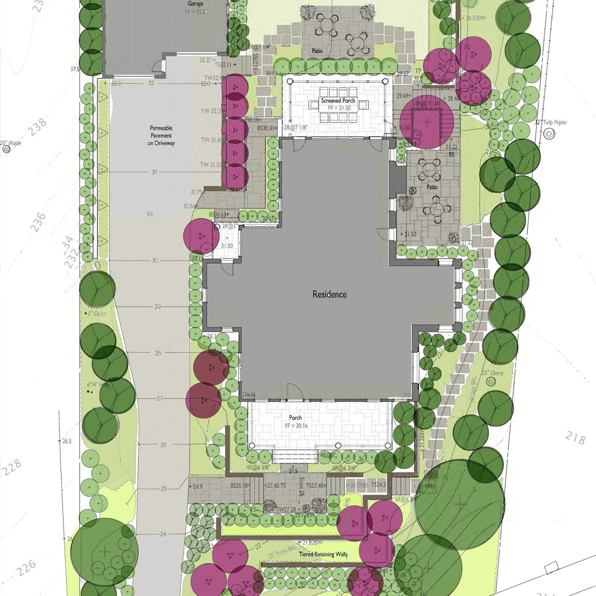 Garden rendering, pollinator garden, Arlington VA