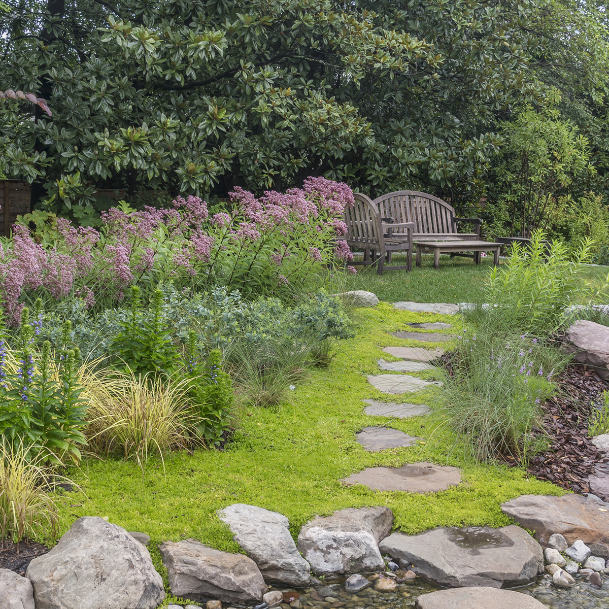 Garden bench, naturalistic pool garden, Falls Church VA
