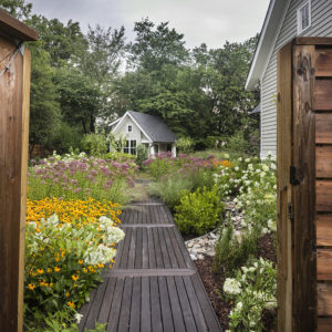 A Naturalistic Pool Garden in Falls Church, VA | MHLA