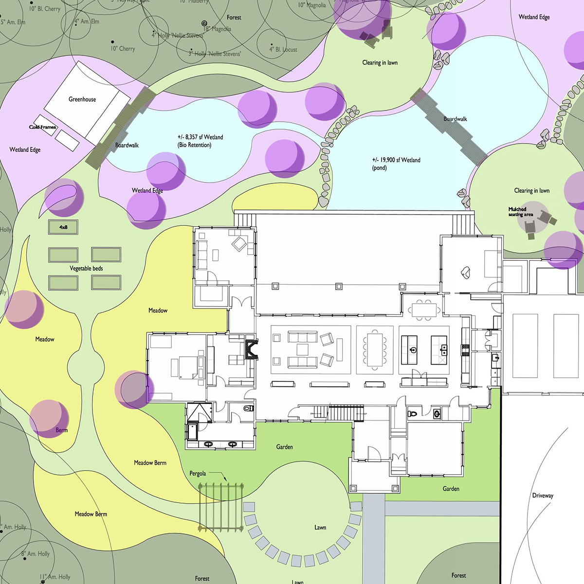 Schematic plan, naturalistic pool garden, Falls Church VA