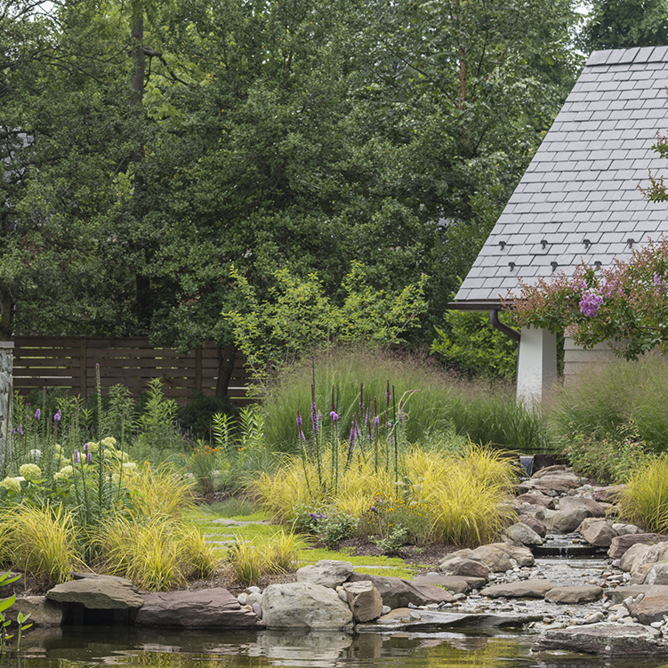 Naturalistic pond, Falls Church VA