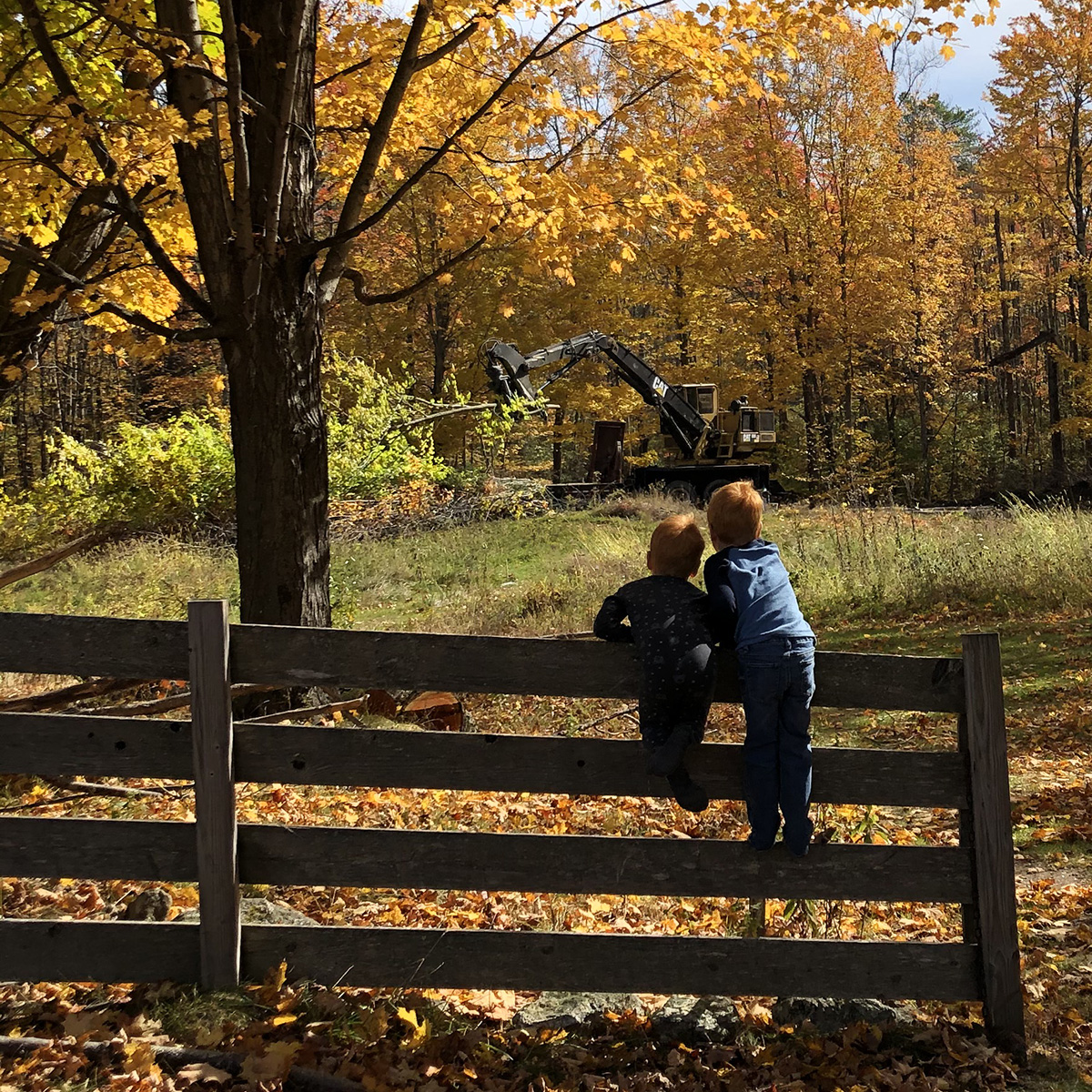 early successional habitat; pollinator pathways; wildlife gardening