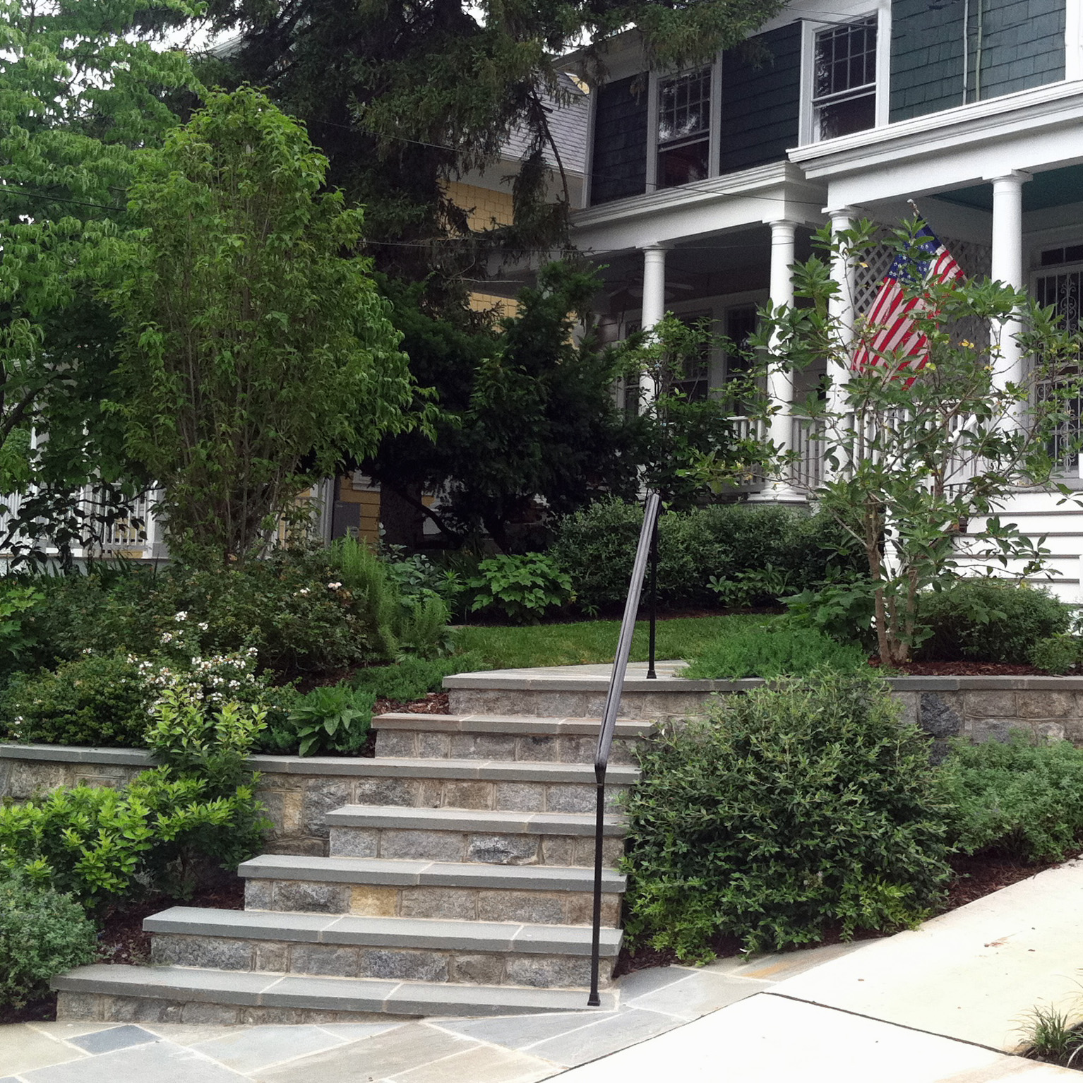 Front garden, edible landscape, Washington DC