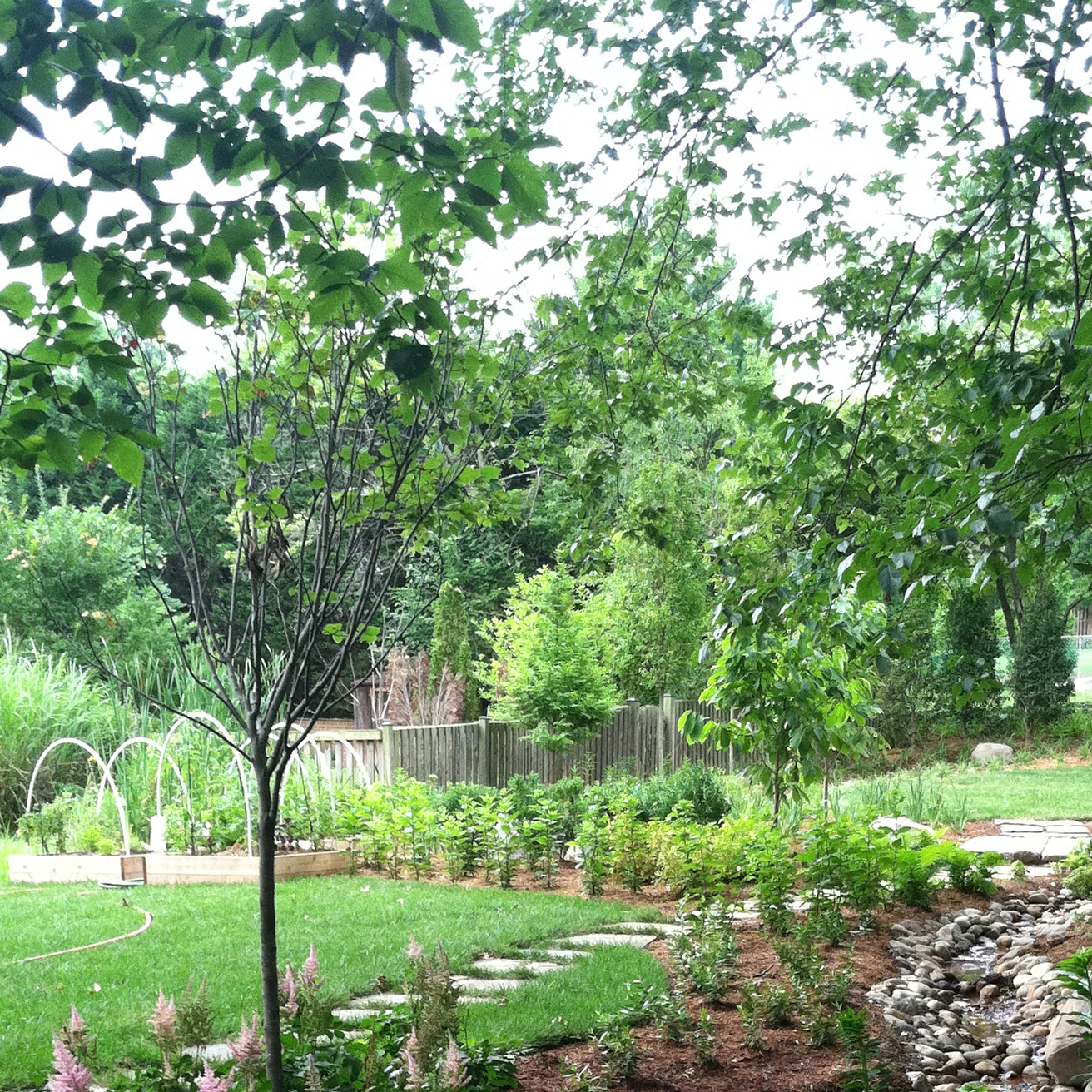 Raised vegetable beds, edible landscape, Washington DC