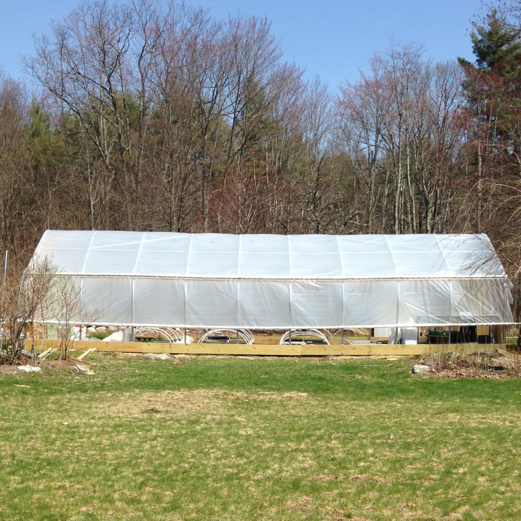 Greenhouse