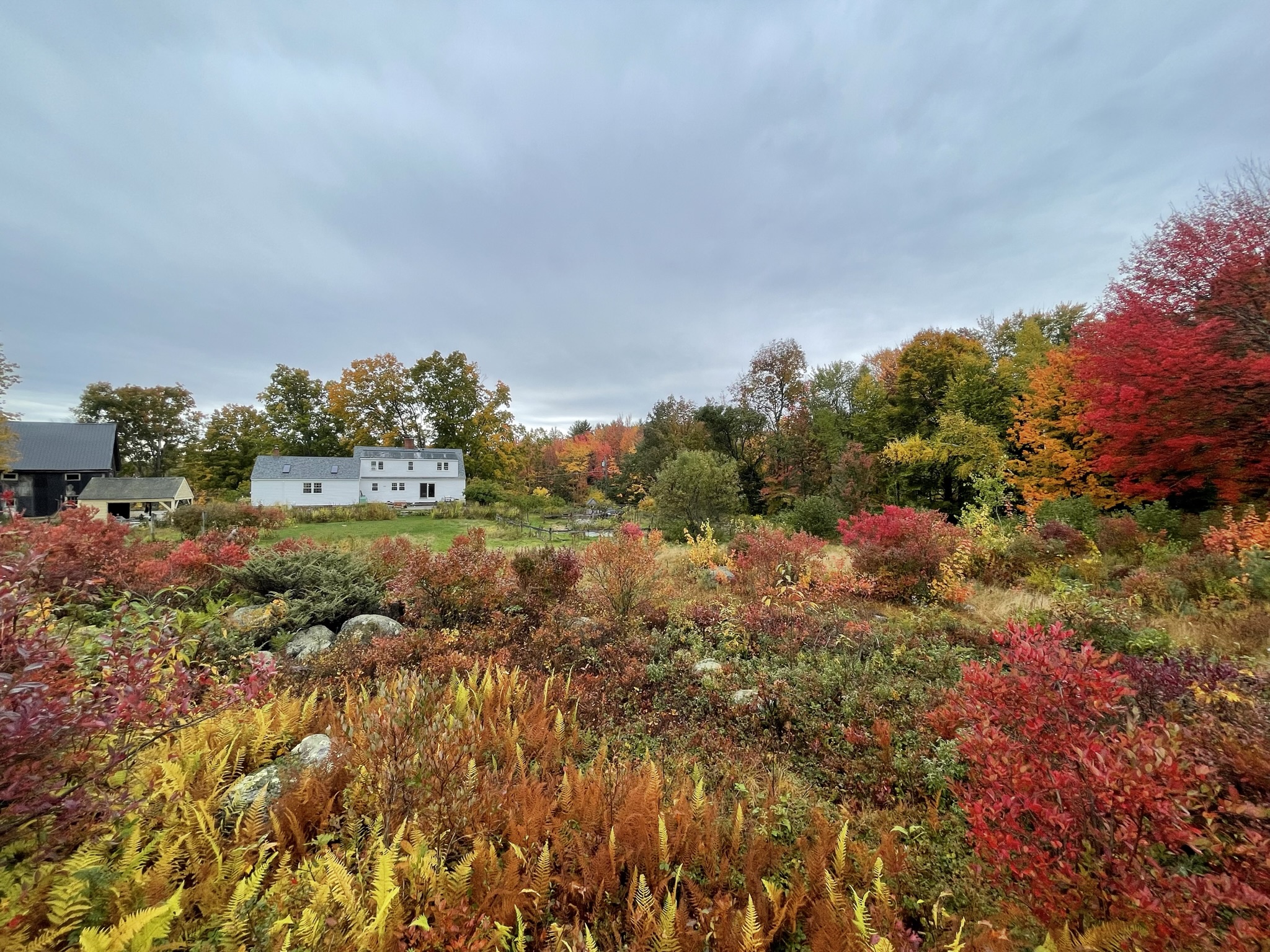 Forest management work, Strafford NH