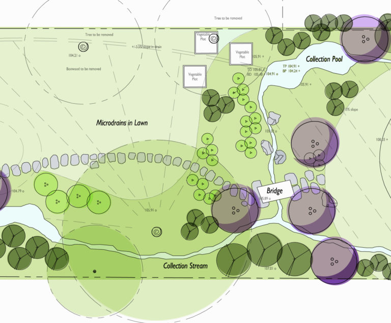 Read more about the article An edible, ecological garden in Washington, DC