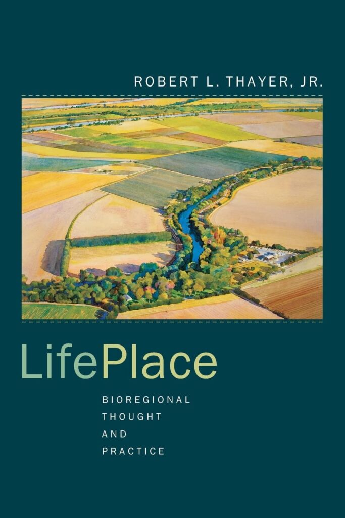 Cover of Life Place