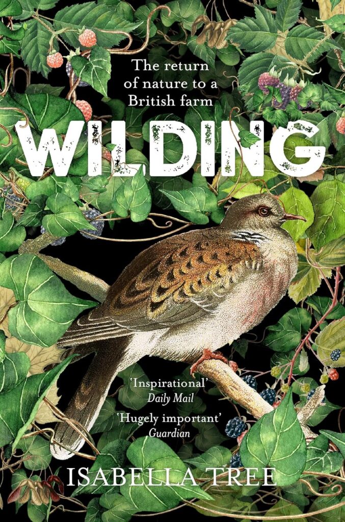 cOVER OF WILDING