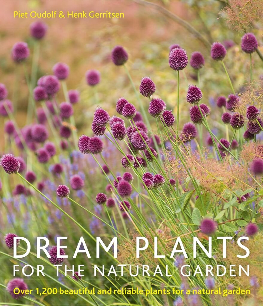 Cover of Dream Plants for the Natural Garden