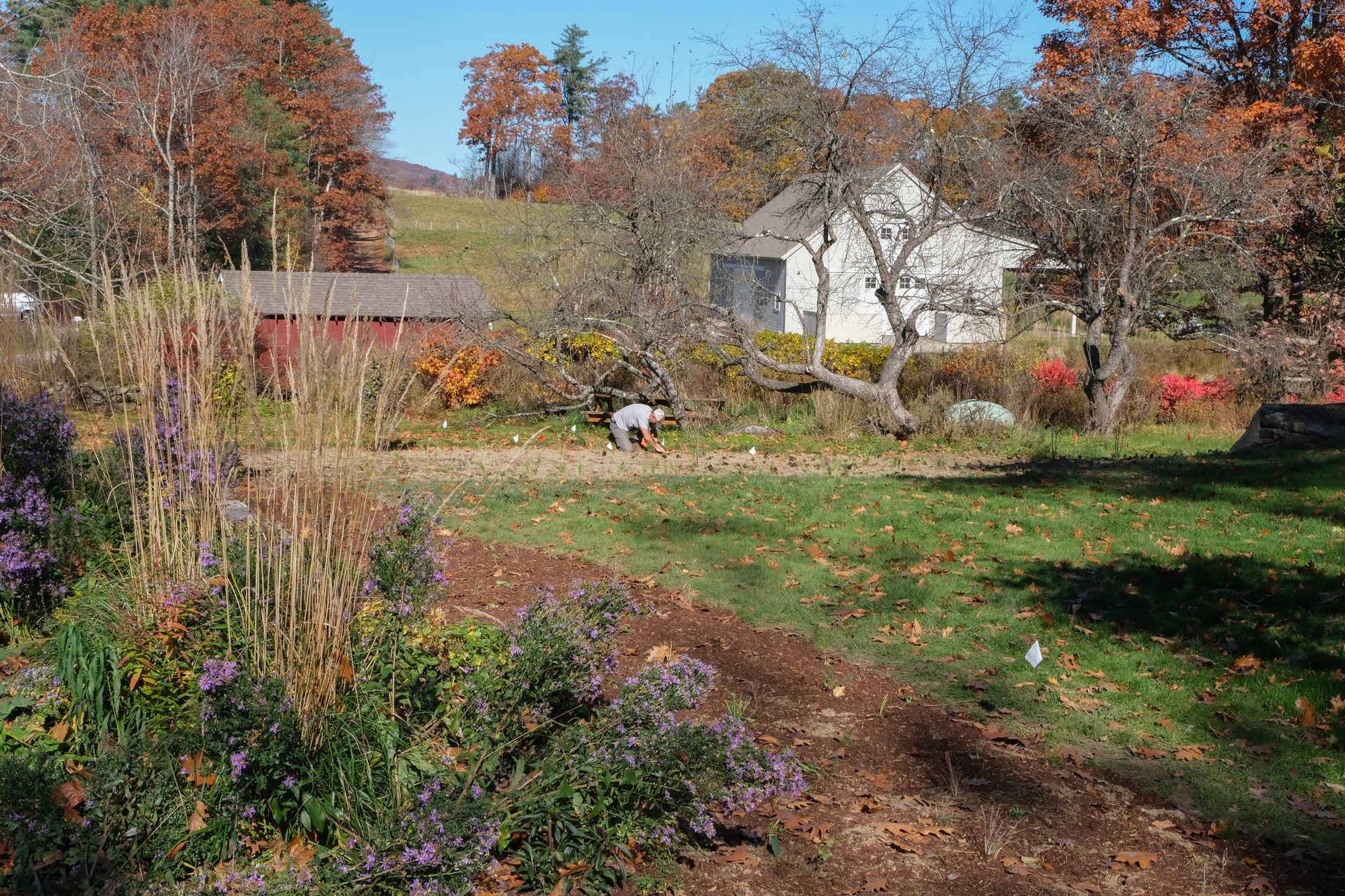 Mature ecological garden in fall, Mayfair Farm landscape design, New Hampshire